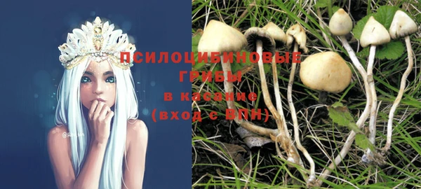 альфа пвп Надым
