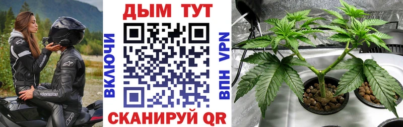 Бошки марихуана AK-47  сайты даркнета состав  Старица 
